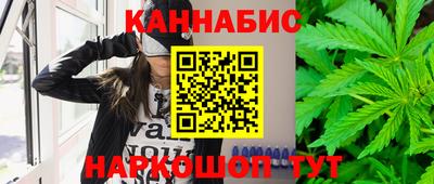 стаф Кулебаки