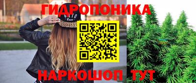 стаф Кулебаки